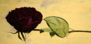 rosa marcida 3443460