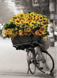 bicicleta curulla de flors0