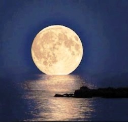 lunaengoogle000000000