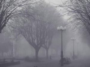 dia rúfol de boira plujós 0000000000000000000000