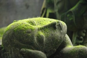 estàtua caiguda dona noia molsa00000000000000000000000000000000