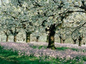 ?????????????????????????????????????????????????????????