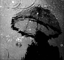 ombra 000 pluja paraigua