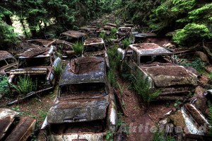 chatillon-car-graveyard-abandoned-cars-cemetery-belgium-1011_zps216146e1