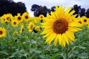 ????????????????????????????????????