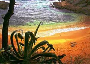 CREATOR: gd-jpeg v1.0 (using IJG JPEG v62), default quality