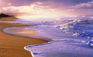 CREATOR: gd-jpeg v1.0 (using IJG JPEG v62), quality = 90