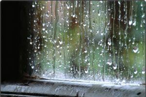 pluja vidre regalimant000