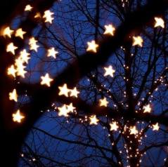 arbre amb llums estrella