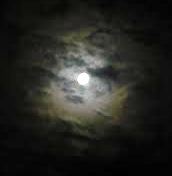 nit impenetrable fosca