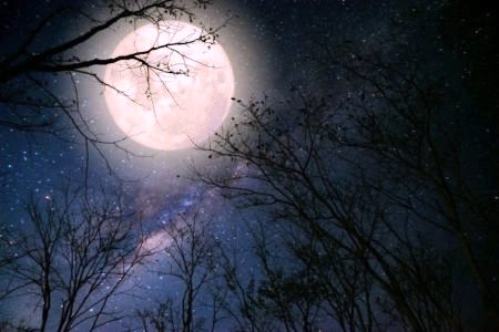 Nit-Lluna-Plena-rosa