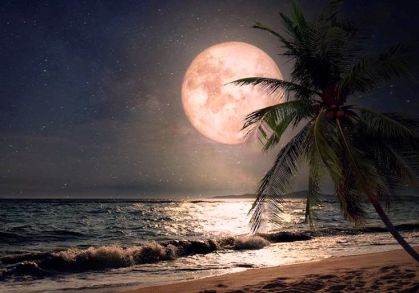 LLUNA MAR PALMERA PLATJA retallada vermellosa